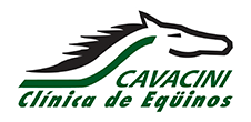 Cavacini